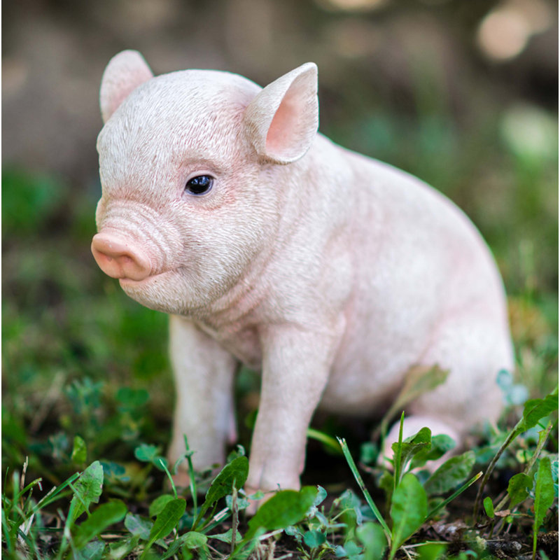 HiLine Gift Ltd. Sitting Baby Pig Statue & Reviews Wayfair.ca